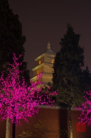 Xian 2013 - Giant Wild Goose Pagoda & LED Tree by Night