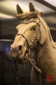 Xian 2013 - Terracotta Army - Horse