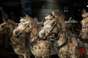 Xian 2013 - Terracotta Army - Chariot - Horses