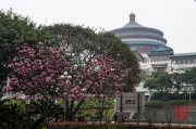 Chongqing 2013 - Congress Hall & Park