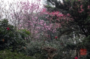 Chongqing 2013 - Eling Park