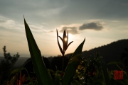 Malaysia 2013 - Penang - Sunset I