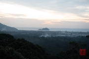 Malaysia 2013 - Penang - Sunset - Forest