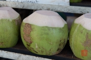 Malaysia 2013 - Penang - Coconut