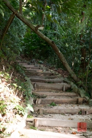 Malaysia 2013 - Penang - Spice Garden - Wooden Stairs I