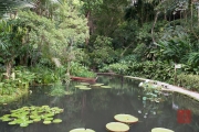 Malaysia 2013 - Penang - Spice Garden - Pond