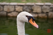 Malaysia 2013 - Colmar Tropicale - White Swan