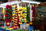 Singapore 2013 - Little India - Flowers