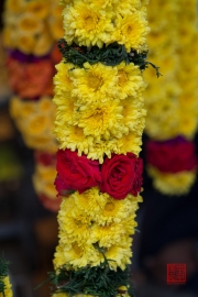 Singapore 2013 - Little India - Flowers Close-Up