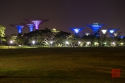 Singapore 2013 - Supertrees