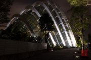 Singapore 2013 - Botanical Garden