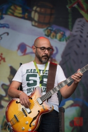 Bardentreffen 2014 - Pippo Pollina - Bass I