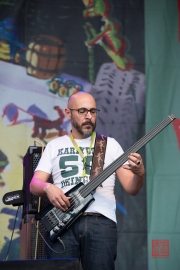 Bardentreffen 2014 - Pippo Pollina - Bass II