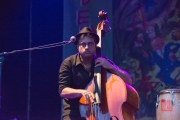 Bardentreffen 2014 - Noa - Contrabass II