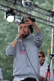 Brueckenfestival 2014 - Flying Penguin - Kolja Pribbernow II