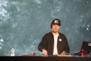 Brueckenfestival 2014 - Damion Davis - DJ