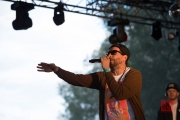 Brueckenfestival 2014 - Damion Davis I