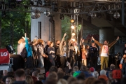Brueckenfestival 2014 - Damion Davis II