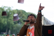 Brueckenfestival 2014 - Damion Davis VII