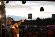 Brueckenfestival 2014 - Damion Davis XI