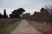 Perpignon 2014 - Old Farm II