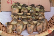 Hongkong 2014 - Tao-O - Clams