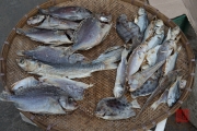 Hongkong 2014 - Tao-O - Dry fish I