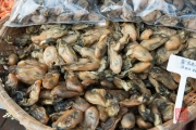 Hongkong 2014 - Tao-O - Clams II