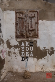 Saragossa 2014 - Street Art - Are you dead?