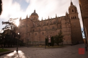 Salamanca 2014 - Cathedral