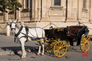 Seville 2015 - Carriage