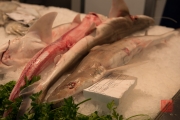 Cadiz 2015 - Market - Sharks