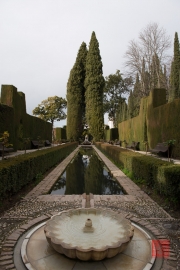 Granada 2015 - Alhambra - Garden III