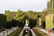Granada 2015 - Alhambra - Garden IV