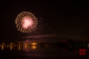 Nuremberg Spring Fair Fireworks 2015 - Gold & Purple