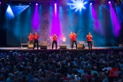 Bardentreffen 2015 - Fanfare Ciocarlia I