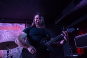 Stereo Long Distance Calling 2015 - David Jordan III