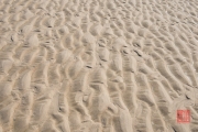 2015 Belgium - Sand IV