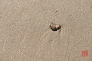 2015 Belgium - Mussels