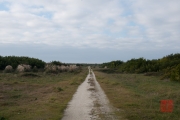 Costa Nova do Prado 2015 - Path
