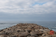 Costa Nova do Prado 2015 - Wave-Breaker