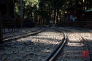 Taiwan 2015 - Alishan - Train tracks