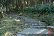 Taiwan 2015 - Alishan - Stairs