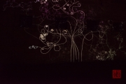 Blaue Nacht 2016 - Flora III