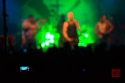 Hirsch In Extremo 2016 V