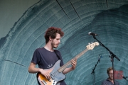 Folk im Park 2016 - Black Oak - Dave Mollen II