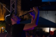 Bardentreffen 2016 - Ramzailech - Clarinet II