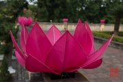 Hanoi 2016 - Lotus
