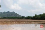 Phong Nha 2016 - Fields