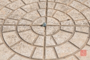 Phong Nha 2016 - Marble
